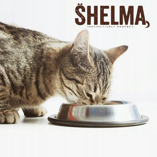 MOKRA KARMA DLA KOTA SHELMA MEGA BOX 40X85G FILECIKI MIX 4 SMAKÓW BEZ na Arena.pl