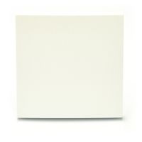 Efapel Logus90 klawisz do łącznika 1-2-biegunowego uniwersalnego lub zwiernego lodowy 90601 TGE