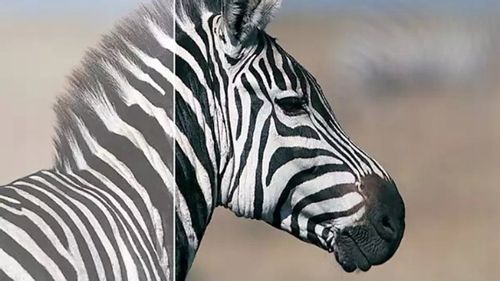 Monitor 24'' Philips 243V7QDSB/00 IPS LED Full HD na Arena.pl