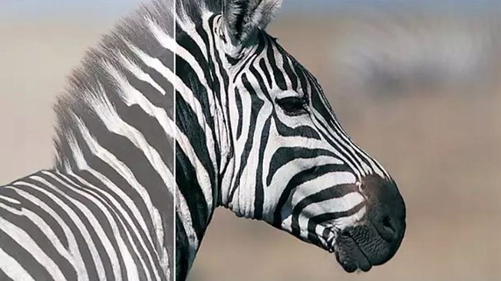 Monitor 24'' Philips 243V7QDSB/00 IPS LED Full HD zdjęcie 5