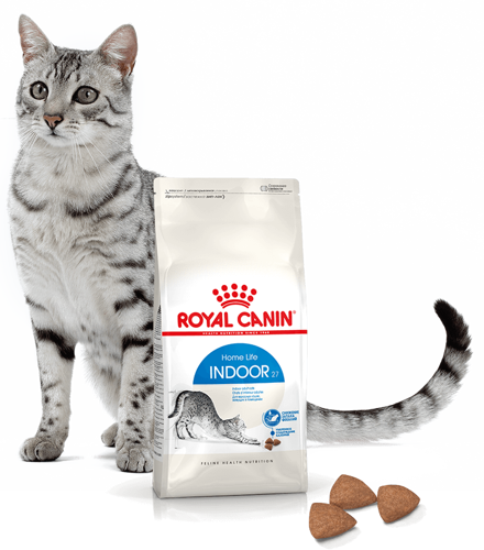 royal canin indoor 27 4kg na Arena.pl