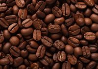 Plakat 59,4x42cm Esencja Aromatu