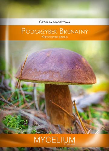 PODGRZYBEK BRUNATNY zagęszczona żywa grzybnia na Arena.pl