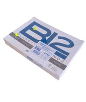 Album szkicownikowy BLASETTI BL2 24x33 20szt