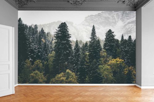 Fototapeta JESIENNY KRAJOBRAZ LAS IGLASTY GÓRY na Arena.pl