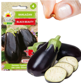 BAKŁAŻAN NASIONA OBERŻYNA BLACK BEAUTY FIOLETOWA GRUSZKA MIŁOŚCI 1G