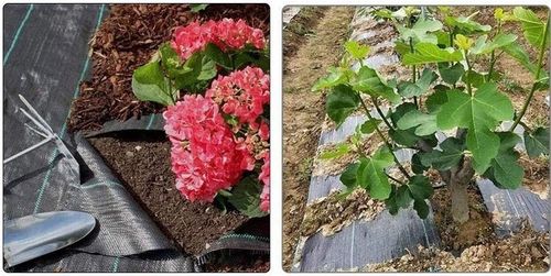 Agrowłóknina czarna 110x5000 cm mata antychwastowa na Arena.pl