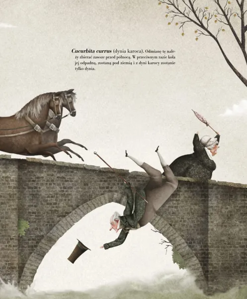 Bombastica Naturalis zdjęcie 5