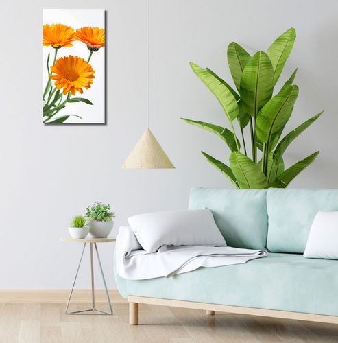 Obraz 30x60cm Słoneczne Kalendule na Arena.pl