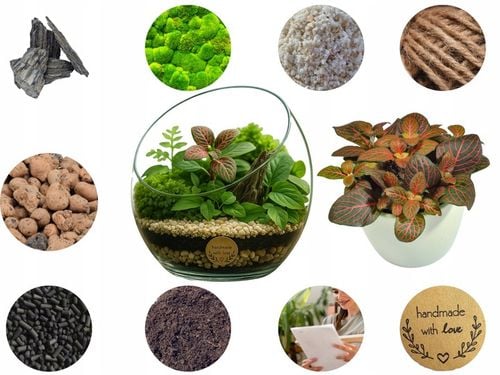 LAS W SŁOIKU SZKLE KOMPLETNY 10 elementów Z ROŚLINKĄ I KULA SŁÓJ ZESTAW na Arena.pl