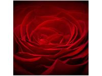 50X50CM RÓŻA UKOCHANEJ OBRAZ