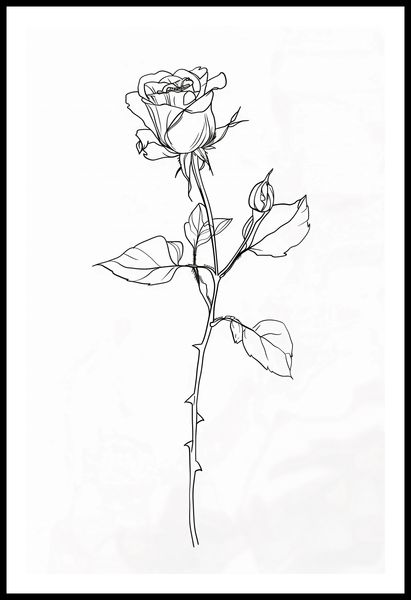 Plakat 56,6x86,4cm Kontur Róży zdjęcie 3