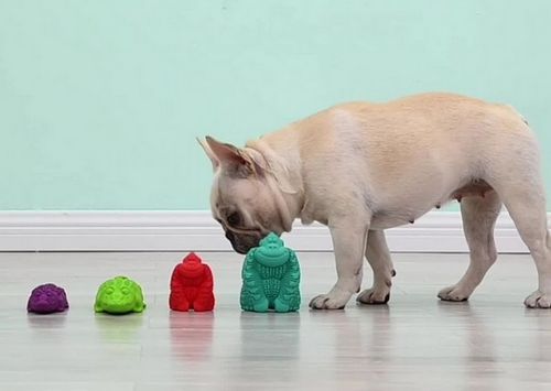 Arm&Hammer Super Treadz Gorilla Large [FFP8831] na Arena.pl