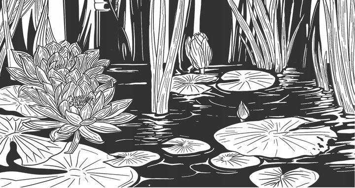 Hakuro H55 pędzel do pudru zdjęcie 2