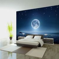 Fototapeta - Księżycowa noc 300x210