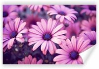 Fototapeta PREMIUM STRUKTURA ZMYWALANA NA WYMIAR Bukiet różowych kwiatów