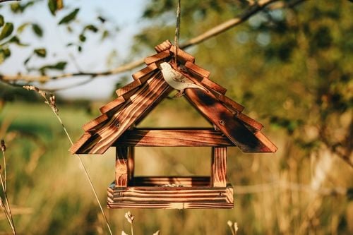DUŻY Karmnik dla ptaków DREWNIANY XXL Opalany na Arena.pl