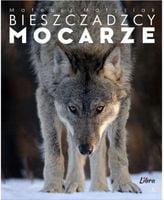 Bieszczadzcy mocarze Wilk Album Mateusz Matysiak