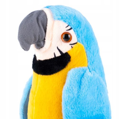 PAPUGA GADAJĄCA POWTARZA TAŃCZY MÓWI MÓWIĄCA Miś GADAJĄCA MASKOTKA na Arena.pl