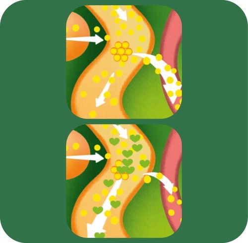 Danacol Plus w żelu na obniżenie cholestereolu smak cytrusowy 3x21 saszetek na Arena.pl