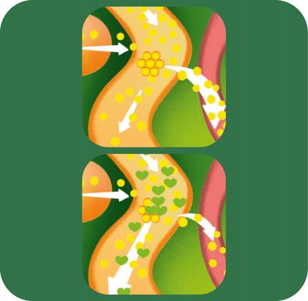 Danacol Plus w żelu na obniżenie cholestereolu smak cytrusowy 3x21 saszetek zdjęcie 4