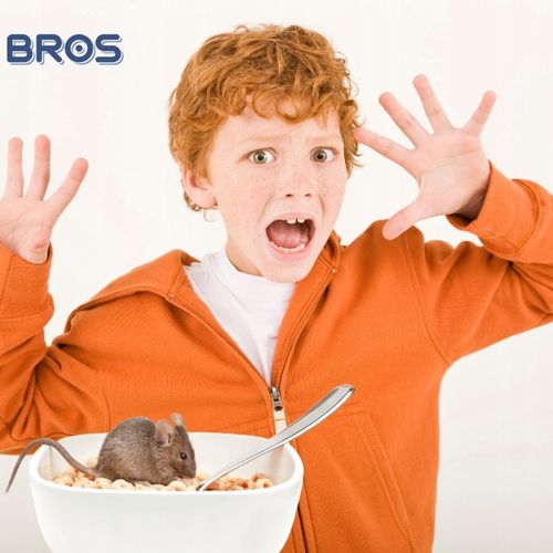 BROS LEP NA MYSZY SZCZURY GRYZONIE PUŁAPKA KLEJOWA WABIĄCA ZAPACHEM 12 na Arena.pl