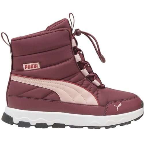 Buty Puma Evolve Boot r.38 na Arena.pl