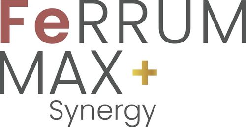 ProCure tricholine feRRUM max + synergy Suplement diety 90 kapsułek na Arena.pl