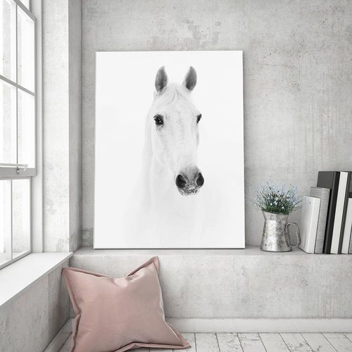 Obraz na płótnie – Canvas, siwy koń 40x60 na Arena.pl