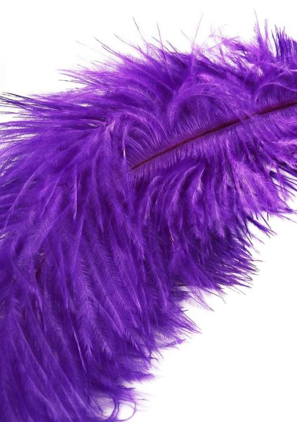 Double Feather Tickler Purple zdjęcie 4