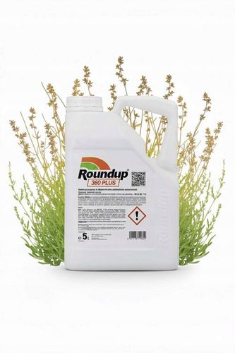 ROUNDUP 360 PLUS 5L RANDAP ŚRODEK NA CHWASTY PREPARAT NA CHWASTY na Arena.pl