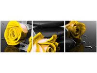 OBRAZ RÓŻE TLE KAMIENI AKCENT KOLORYSTYCZNY