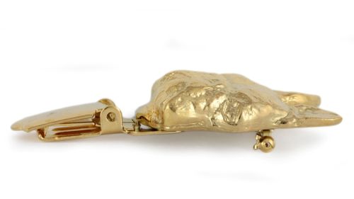 Boston Terier - klips - 1017 na Arena.pl