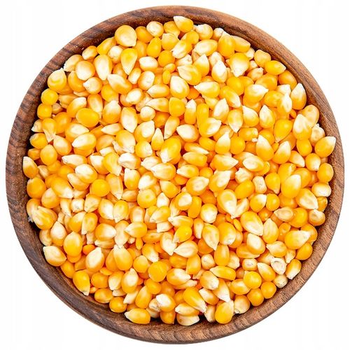 Kukurydza POPCORN 5 kg do prażenia ZIARNO 5000g bez soli PREMIUM JAKOŚĆ 5kg na Arena.pl