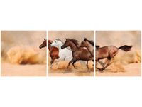 OBRAZ KONIE BIEGNĄCE GALOPEM
