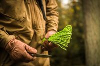 Linka Tactical 275 Cord (100ft) - Czarna