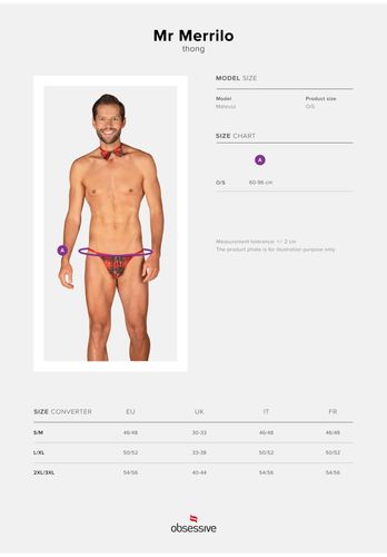 Mr Merrilo Stringi I Mucha O/S na Arena.pl