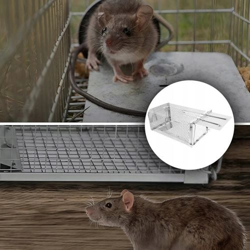 PUŁAPKA ŻYWOŁAPKA NA SZCZURY MYSZY GRYZONIE KUNY ŁAPKA DO ŁAPANIA na Arena.pl