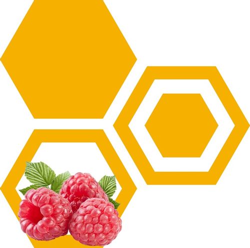 MIÓD SPADŹ IGLASTA 1.2 kg - DUŻY SŁÓJ na Arena.pl