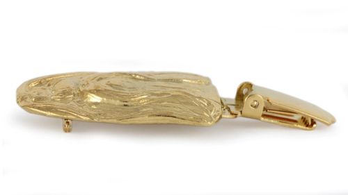 Shih Tzu - klips - 2591 na Arena.pl