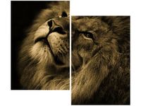 product-compare-58655879