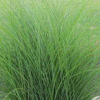 product-compare-57008689