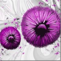 50CM 50CM OBRAZ FIOLETOWE DMUCHAWCE 2 DRUK PŁÓTNO