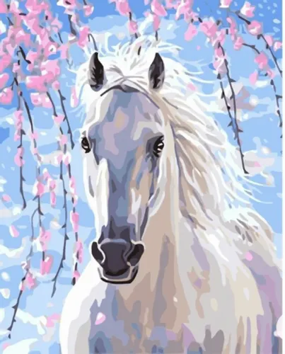 Malowanie po numerach - biały koń na Arena.pl