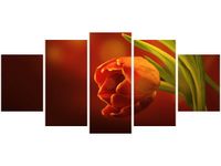70CM 150CM OBRAZ 5 ELEM CZERWONE TULIPANY ŚCIENNY