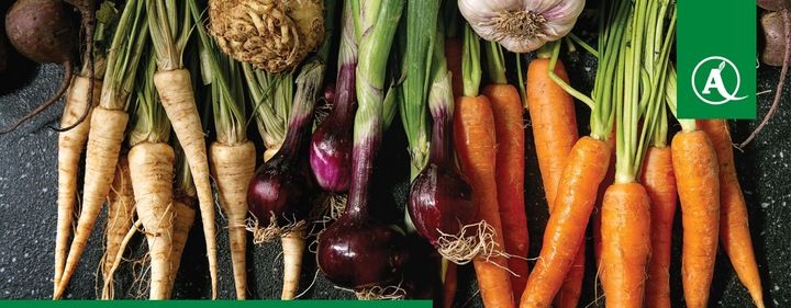 ŚRODEK GRZYBOBÓJCZY OPRYSK SCORPION 325 SC 500ML PARCH ZGNILIZNA PLEŚŃ zdjęcie 6