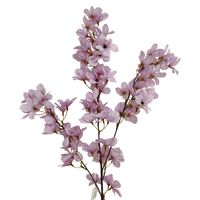 Gałąź dekoracyjna jabłoni fioletowa