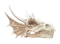 Realistyczna Czaszka Smoka Dragon Skull 25x21x19cm
