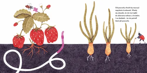 Franciszek z kompostu na Arena.pl