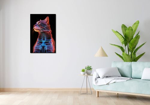 Plakat 56,6x86,4cm Anatomia Kota na Arena.pl